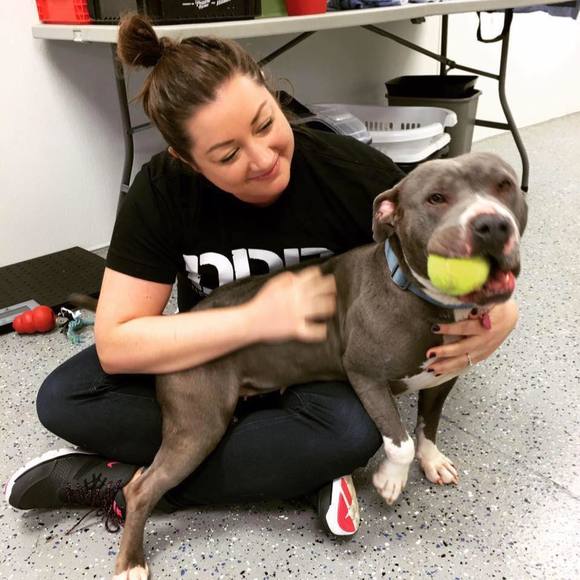 Meet your Posher, Lauren - Picture 1 of 1